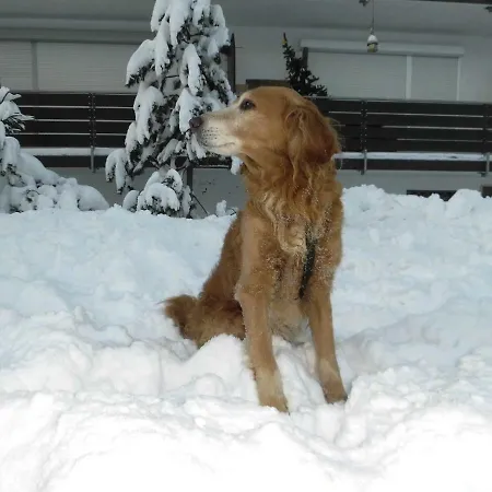 Daire Am Skilift *
