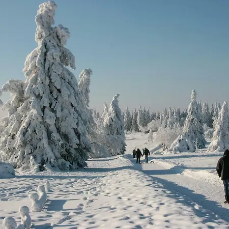 Daire Am Skilift *
