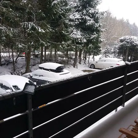 דירה Am Skilift